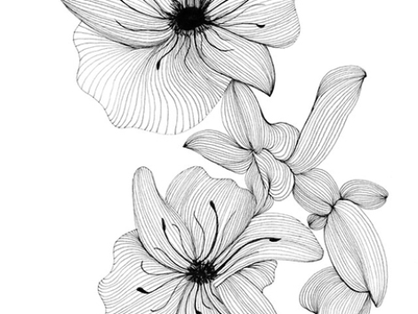 two airy flowers