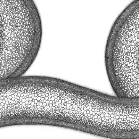 Chill & Heal – Draw with Me 1–2