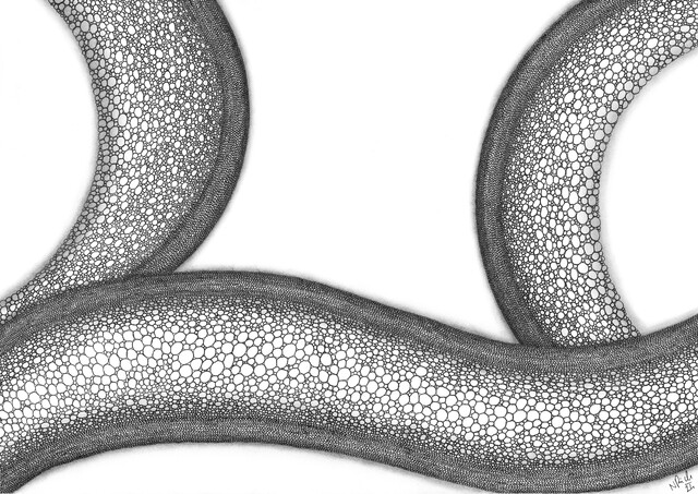 Chill & Heal – Draw with Me 1–2