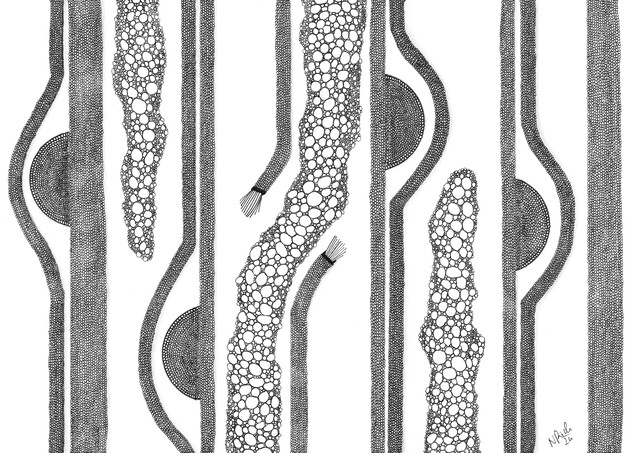 Welcome to the Danger Zone