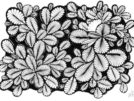 Flowers – Patterns