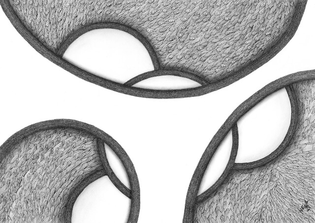 Focus and Align – Draw with me 4