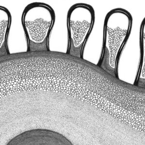 Chillout Wave – Draw with Me 7