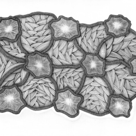 Energy Centers – Draw with Me 16