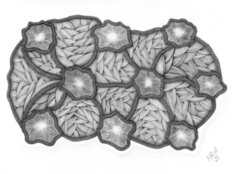 Energy Centers – Draw with Me 16