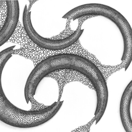 Heavenly Water and Circles – Draw with Me 13